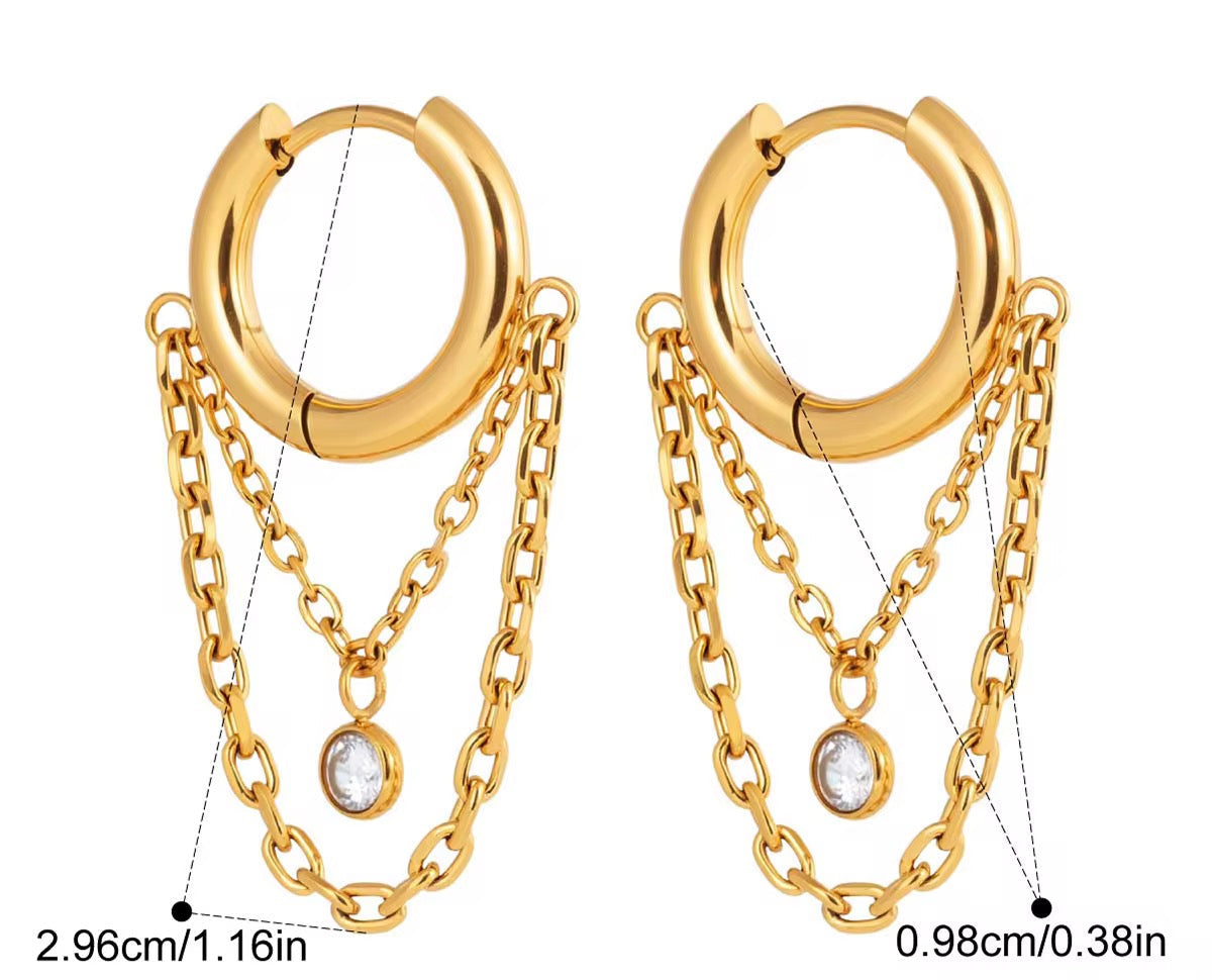 Earrings