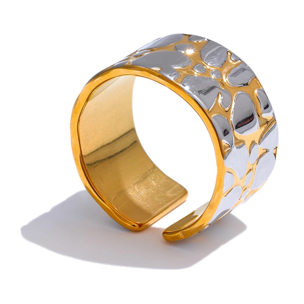 Anillo dúo