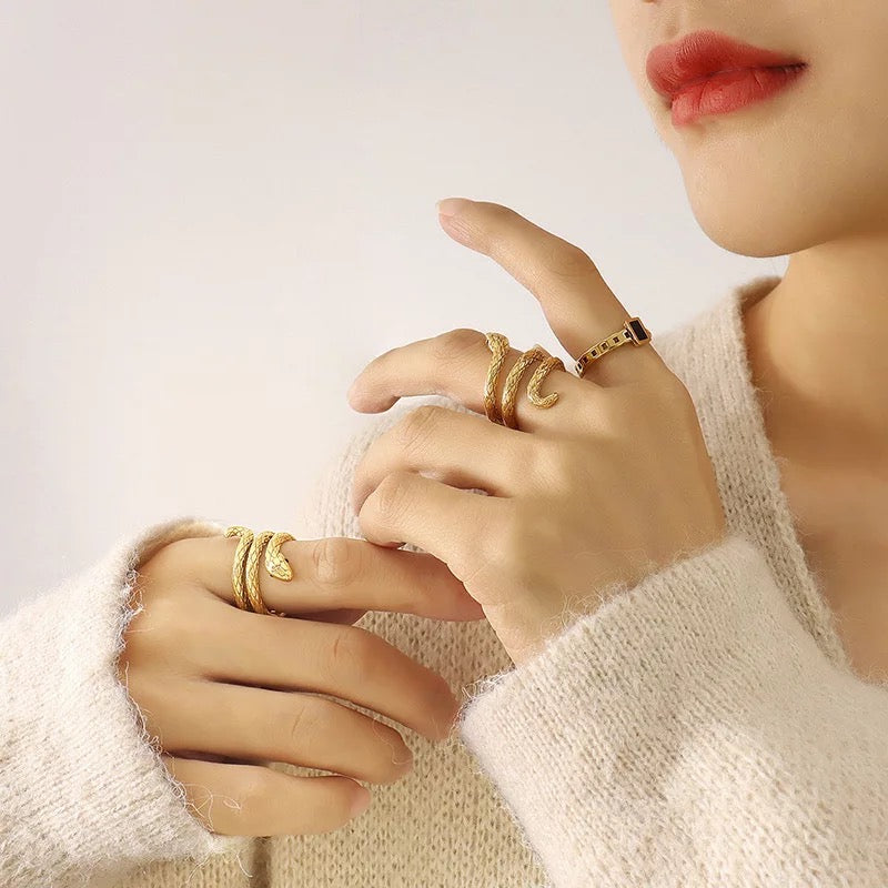 Anillo de serpiente