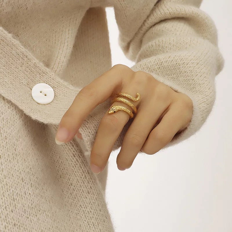 Anillo de serpiente