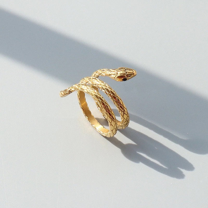 Anillo de serpiente
