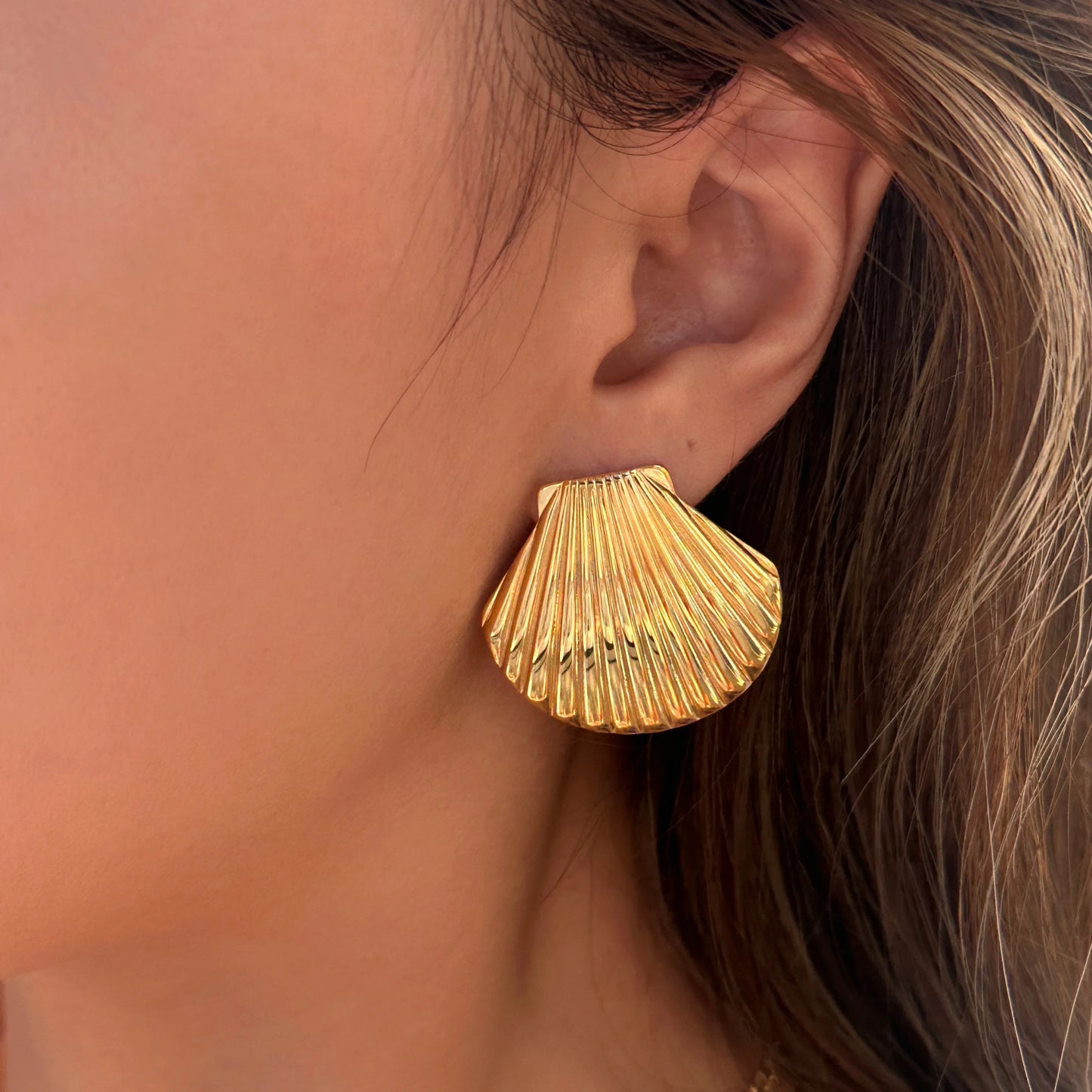 Shell Earrings