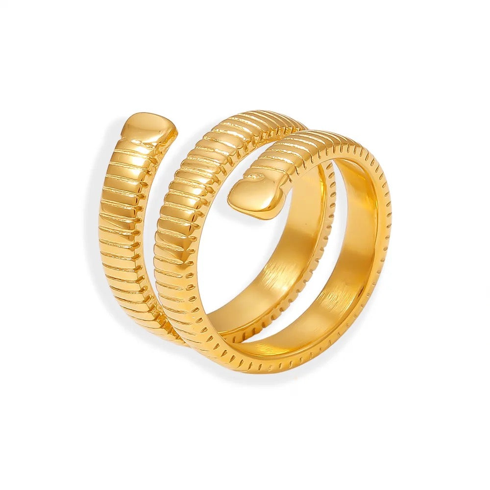 Monic Ring