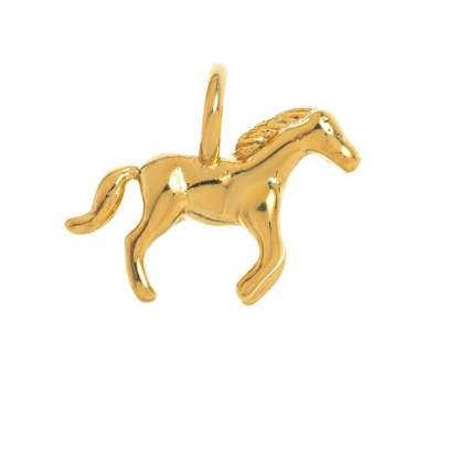 Caballito Charm